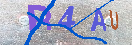 Obrazek CAPTCHA