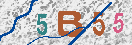 Obrazek CAPTCHA